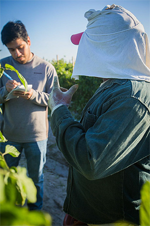 A farmworker discussing conditions on the farm with an auditor in the Fair Food Program