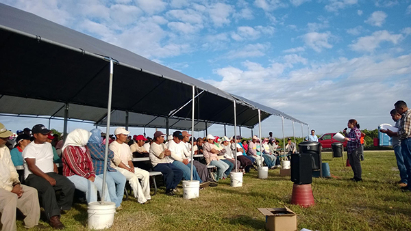 Worker-to-worker education on the farm, on company time, ensures farmworkers know their rights and how to protect those rights, a core principle of Worker-driven Social Responsibility. More than 100,000 workers have been trained in the Fair Food Program. Credit: Coalition of Immokalee Workers