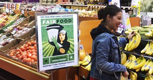 Stop & Shop customer in Teaneck, NJ browsing produce alongside brand-new Fair Food Program point of sale display, which are beginning to appear across the Northeast.