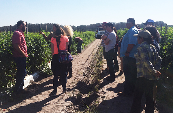 Rabbi leaders from T'ruah: The Rabbinic Call for Human Rights visit Fair Food Program farm in Florida