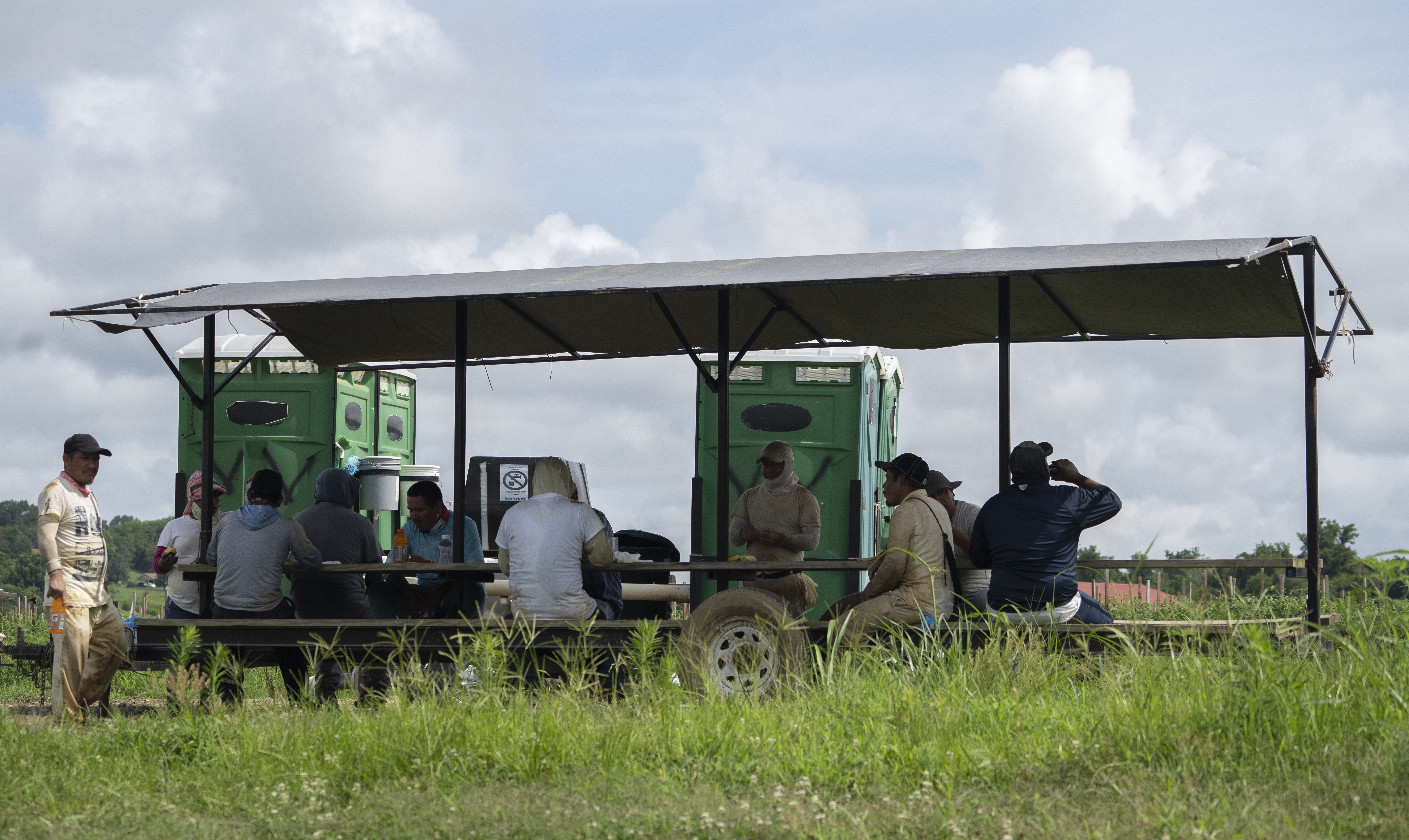 Workers take a rest break under shade as part of the Fair Food Program